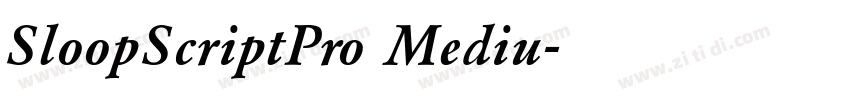 SloopScriptPro Mediu字体转换